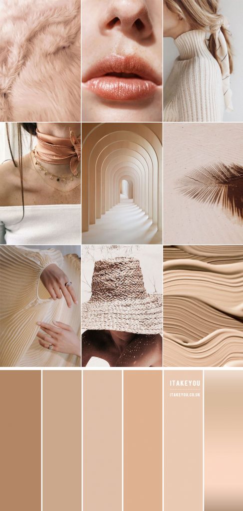 Nude Colour Scheme What Are Nude Colours Sample Of Nude Colours