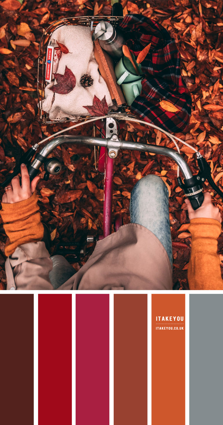 Fall Colour Scheme #Colour Palette 65