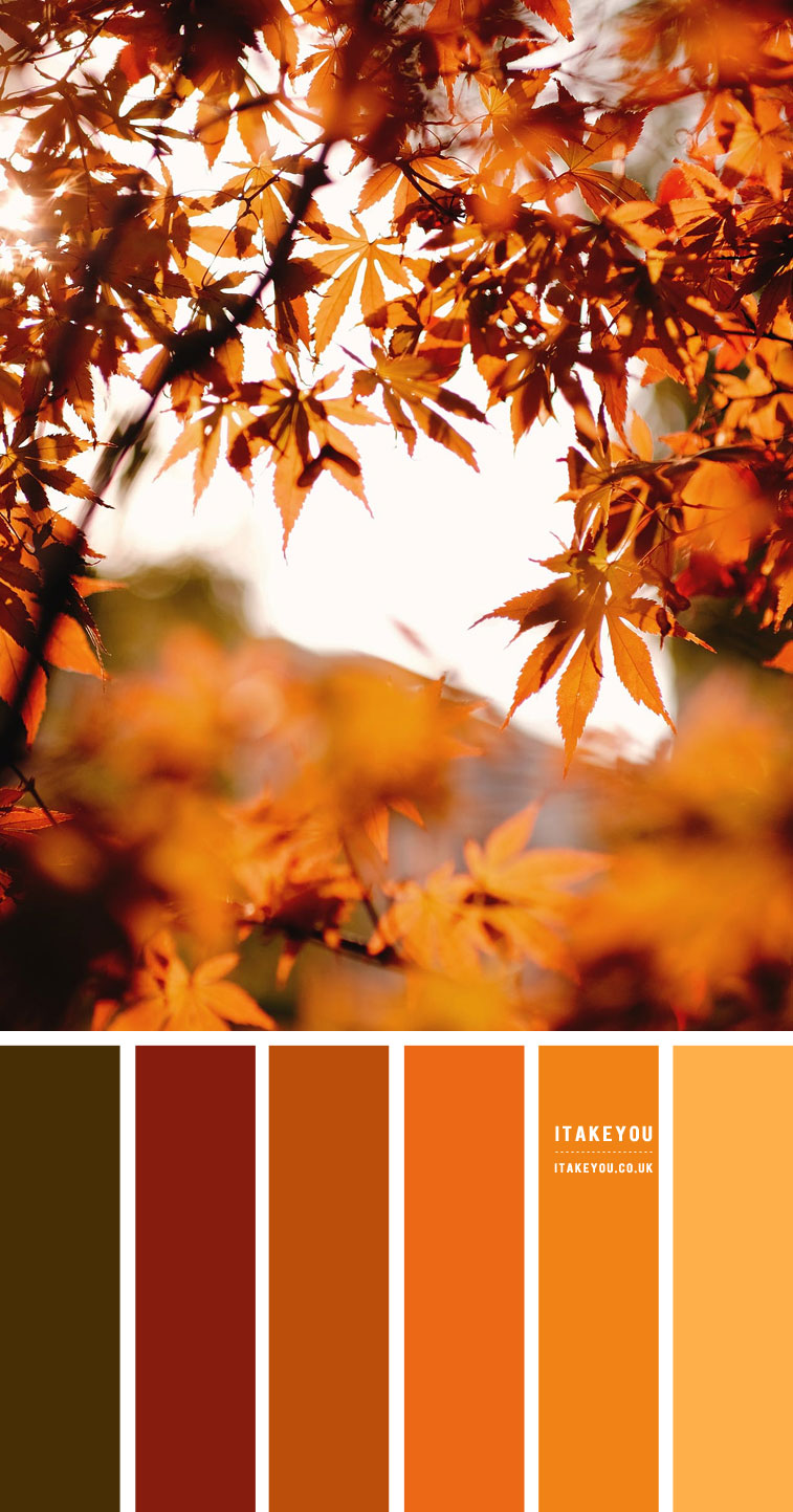 Warm Autumn Colour Scheme inspired by colurful autumn leaves