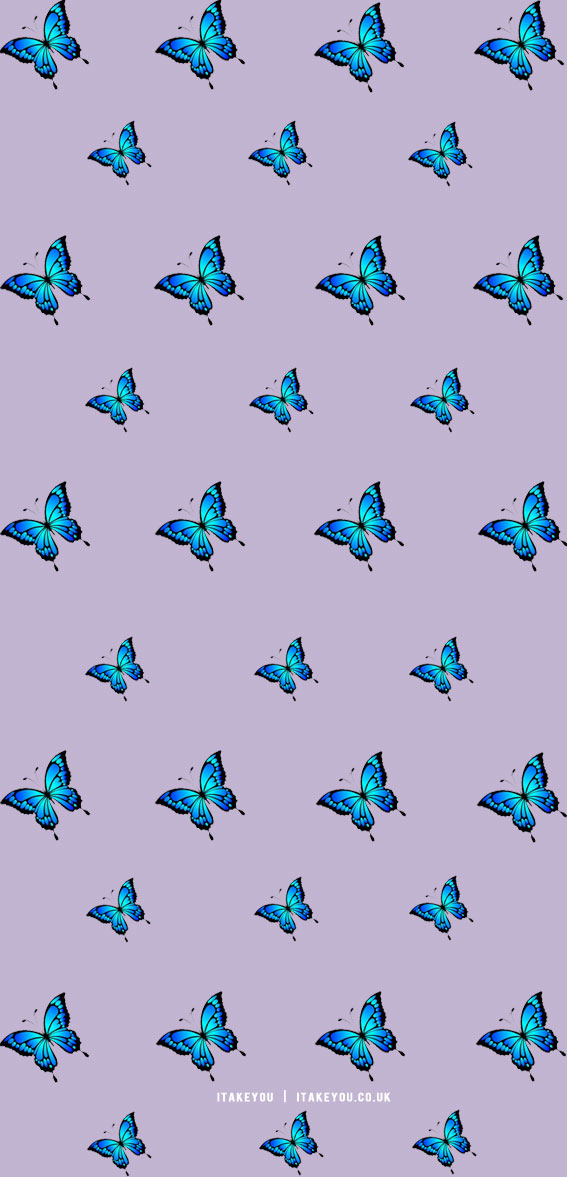 Free Light Blue Butterfly Wallpaper  JPG  Templatenet