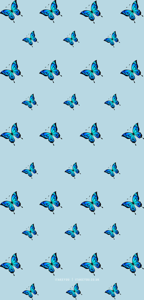 10 Butterfly wallpaper aesthetic designs on different background colours