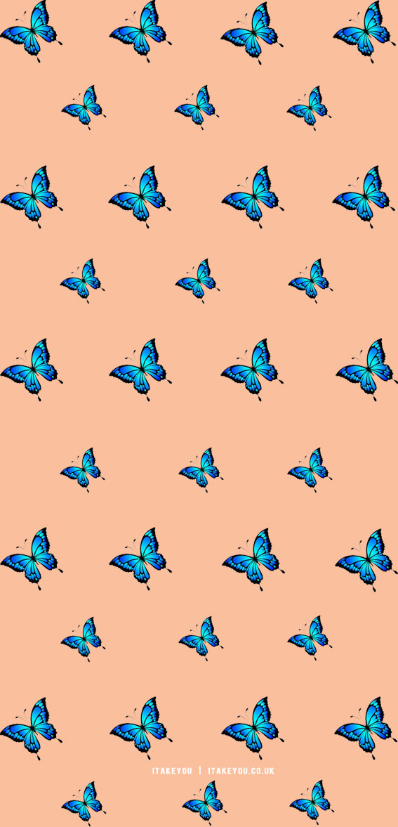 butterfly wallpaper blue, butterfly wallpaper aesthetic, butterfly wallpaper, butterfly wallpaper background, wallpaper background for phone, iphone wallpaper, cute iphone wallpaper, iphone background