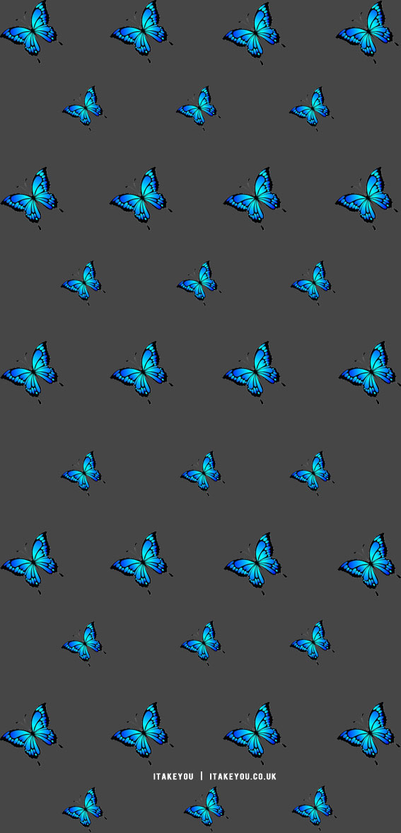 butterfly wallpaper blue, butterfly wallpaper aesthetic, butterfly wallpaper, butterfly wallpaper background, wallpaper background for phone, iphone wallpaper, cute iphone wallpaper, iphone background