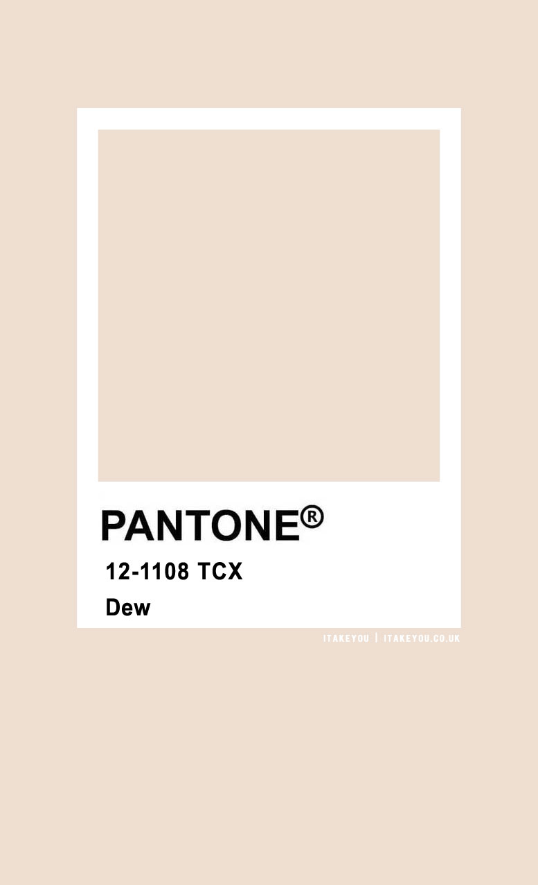 pantone dew, pantone color 2021, pantone color of the year, pantone color chart , pantone color 2021, pantone color chart pdf 2021, pantone color palette, find pantone color from image, what is my pantone color, color of the year 2021 fashion, pink pantone, dew pantone, pantone neutrals