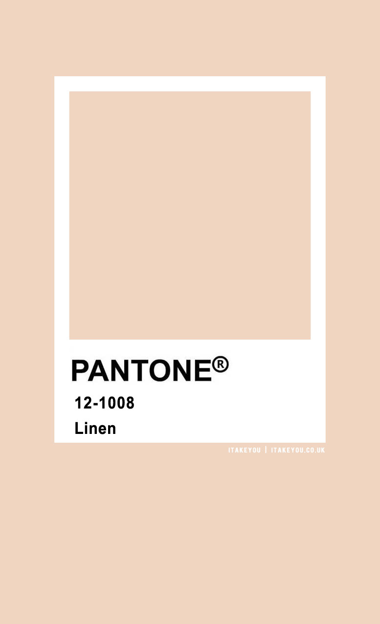Pantone Linen 12-1008 : Pantone Color