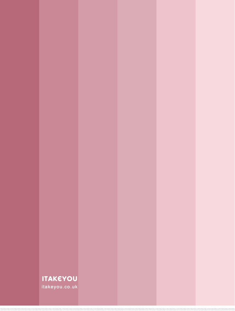 pink rose ombre color palette, pink rose color hex, rose pink color scheme, pink rose color combo, pink rose color combination