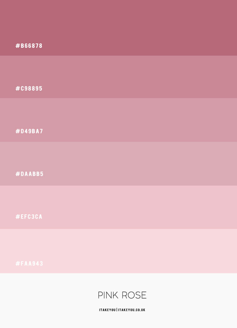 Pink Rose Colour Scheme | Shades of pink colour palette | Pink Combos