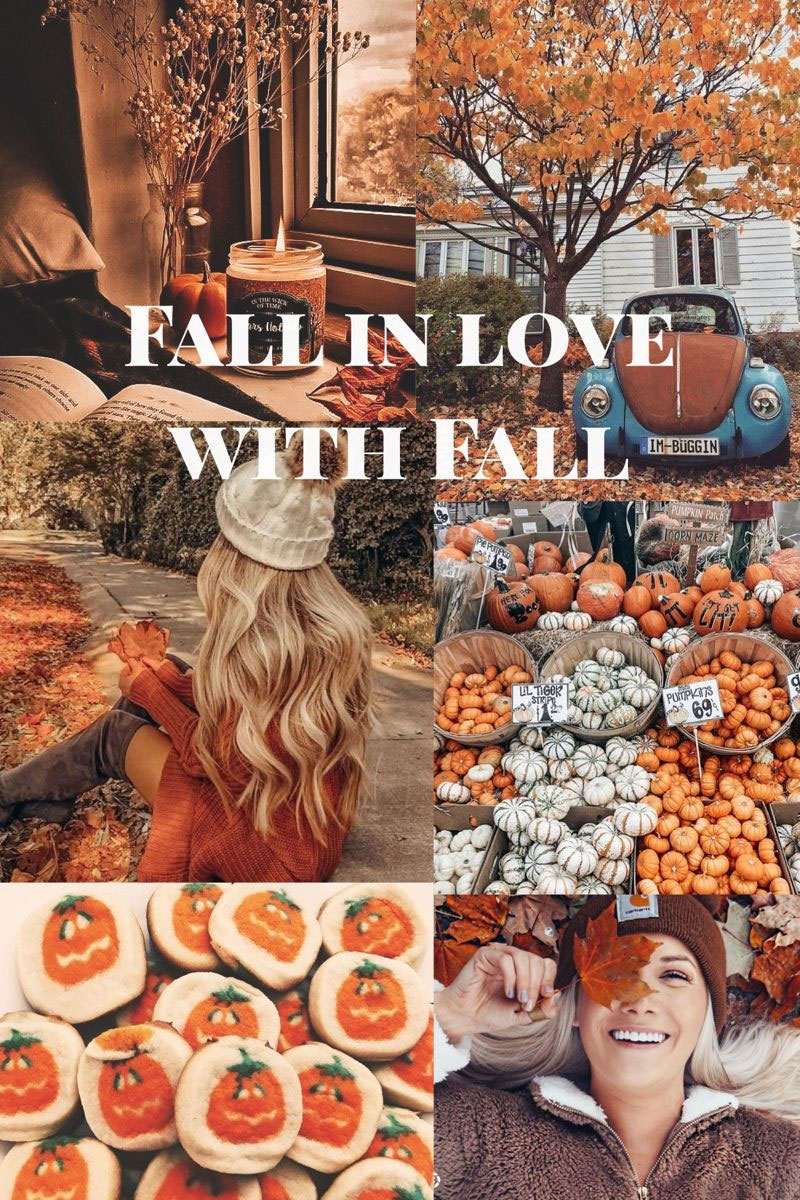 40 Best Fall Collage Ideas  My Favorite Color is October  Idea Wallpapers   iPhone WallpapersColor Schemes