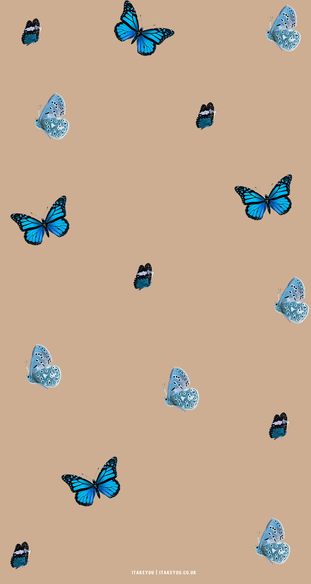 30 Cute Brown Aesthetic Wallpapers for Phone : Butterflies I Take You |  Wedding Readings | Wedding Ideas | Wedding Dresses | Wedding Theme