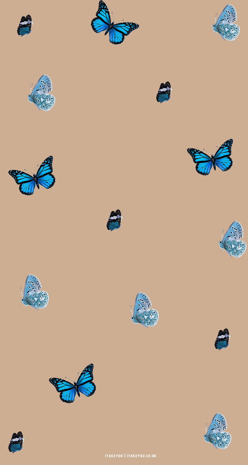 Cute Aesthetic Butterfly Wallpapers  Wallpaper Cave