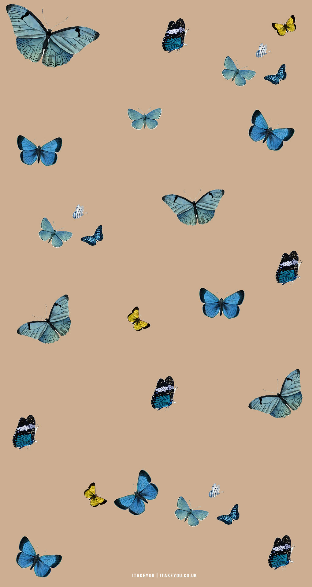 30 Cute Brown Aesthetic Wallpapers for Phone : Butterfly Assortment