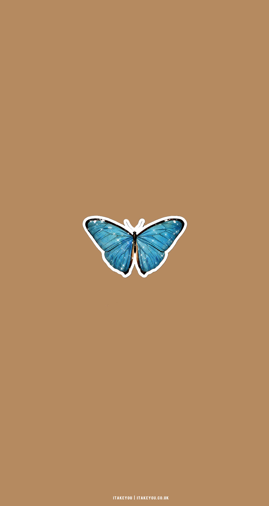 brown wallpapers, brown aesthetic wallpapers, butterfly aesthetic wallpapers, brown wallpaper for phone, brown aesthetic wallpaper phone, iphone wallpaper photo