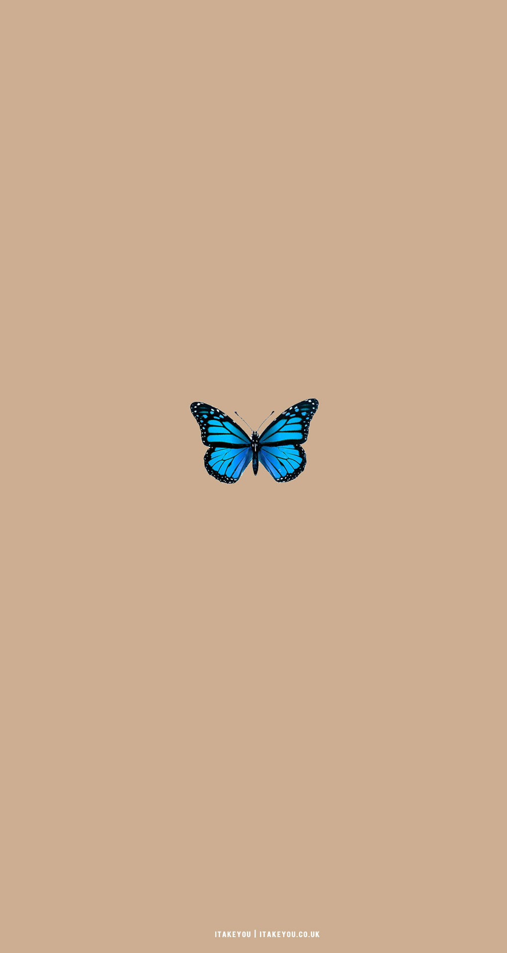 30 Cute Brown Aesthetic Wallpapers for Phone : Blue Butterfly I Take You |  Wedding Readings | Wedding Ideas | Wedding Dresses | Wedding Theme