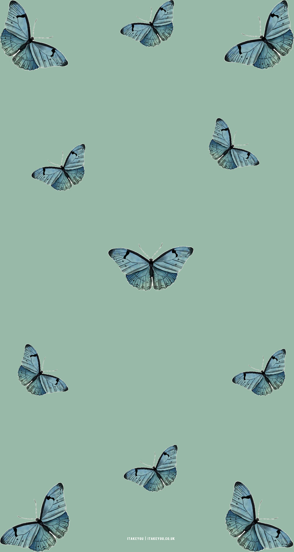 15 Sage Green Minimalist Wallpapers for Phone : Butterfly Butterfly I Take  You | Wedding Readings | Wedding Ideas | Wedding Dresses | Wedding Theme