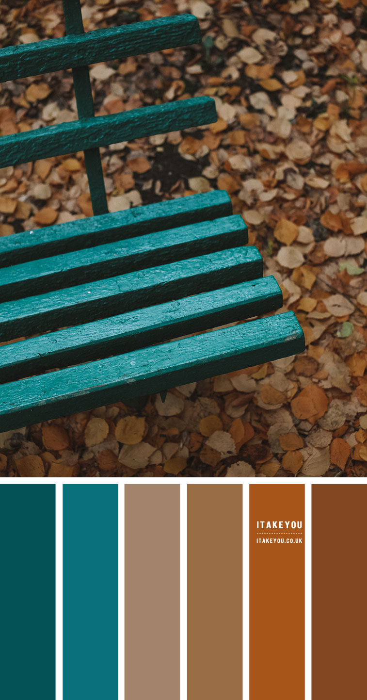 brown and teal, brown and teal colour palette, brown and teal color combo, brown and teal color scheme, fall color palette, fall color idea, autumn color combo, teal color combo
