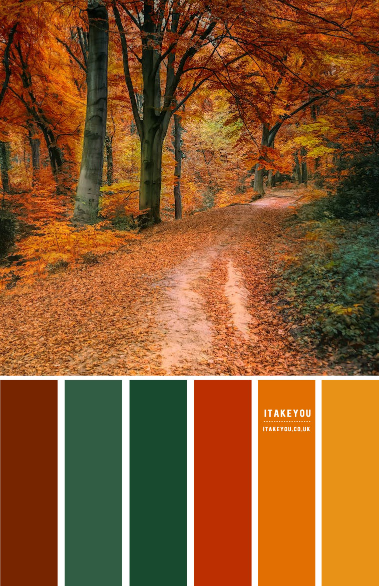Autumn Leaf Colour Scheme#Colour Palette 73