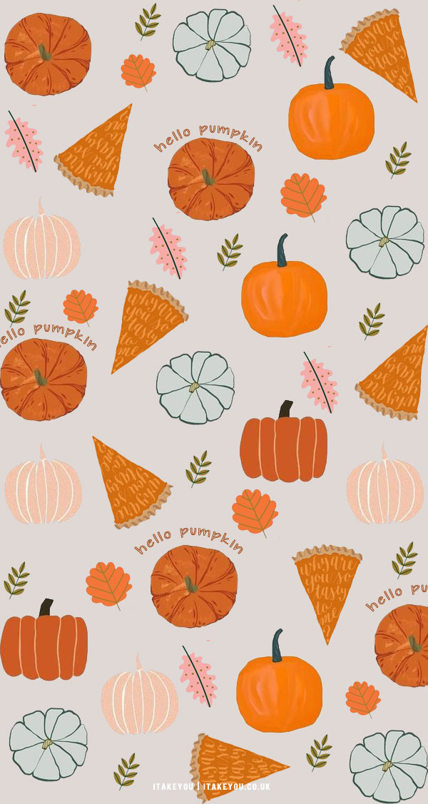 12 Cute Autumn Wallpaper Ideas : Pumpkin Grey Wallpaper
