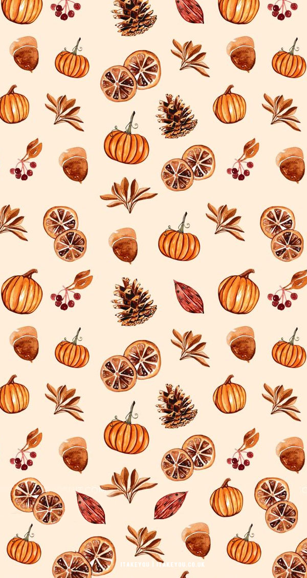 12 Cute Autumn Wallpaper Ideas : Pumpkin & Dried Orange