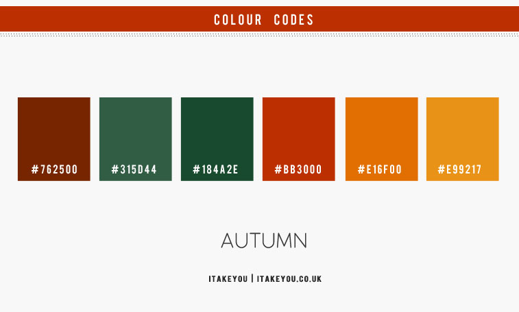 color of leaves, autumn leaf color palette, autumn leaf color scheme, autumn color combo, fall color palette, fall color scheme, autumn colours, autumn colours palette