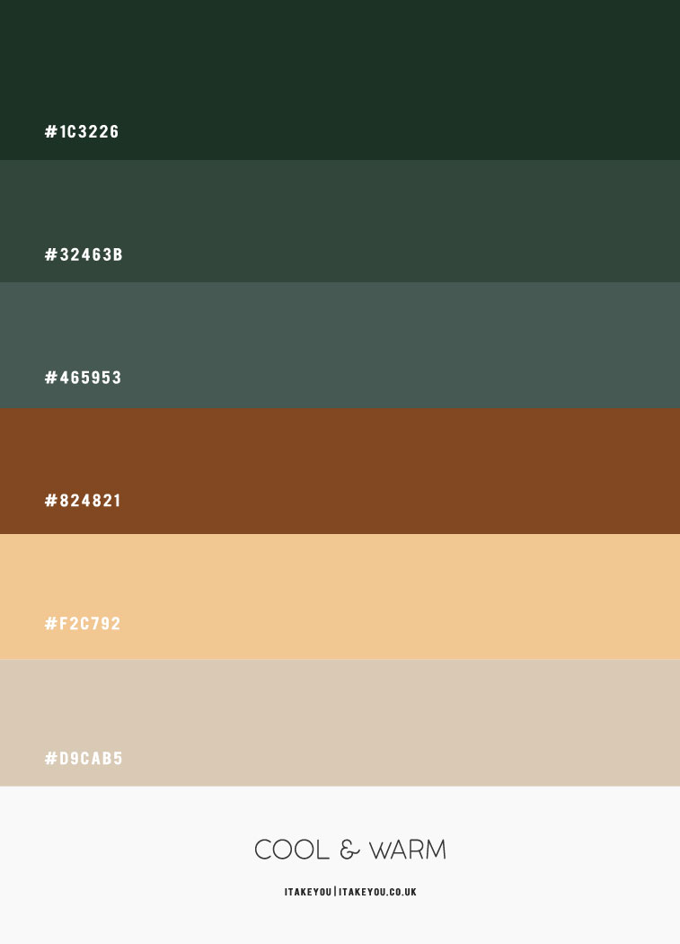 brown and green color scheme, brown and green color palette, brown and green color combo