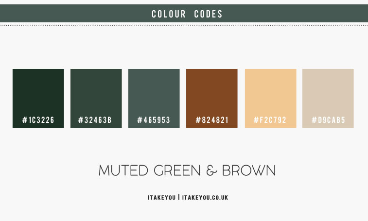 brown and green color scheme, brown and green color palette, brown and green color combo
