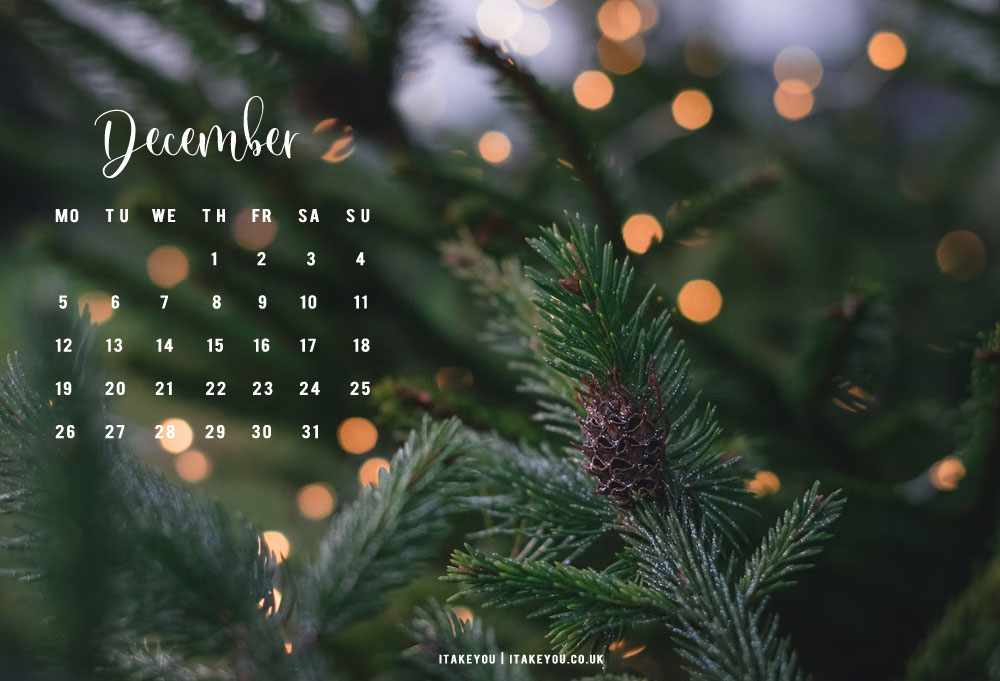 30+ Free December Wallpapers : Fairy Light + Pine Tree Wallpaper