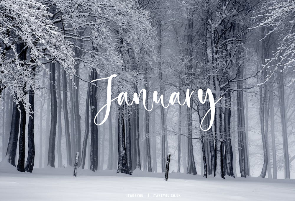 30+ January Wallpaper Ideas for 2023 : Forest Covered in Snow I Take You |  Wedding Readings | Wedding Ideas | Wedding Dresses | Wedding Theme