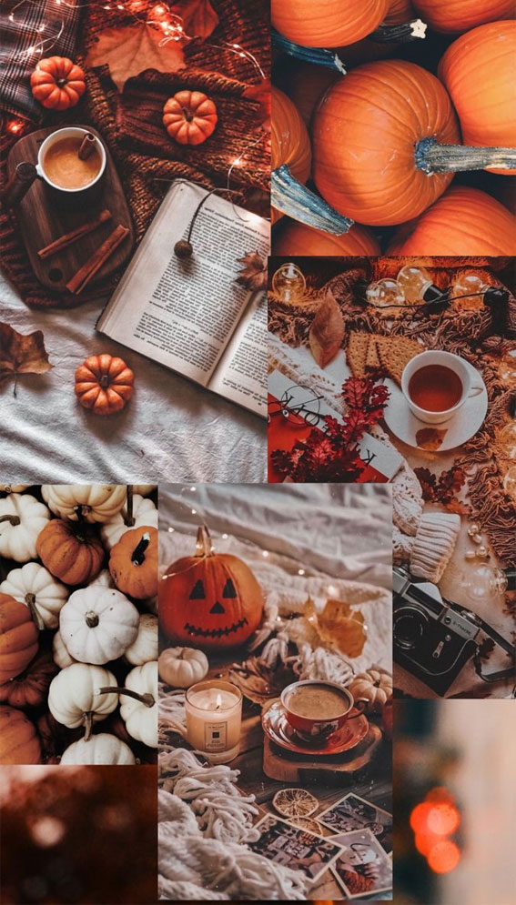 25 Autumn Collage Aesthetic Wallpapers : Autumn Pumpkin I Take You ...