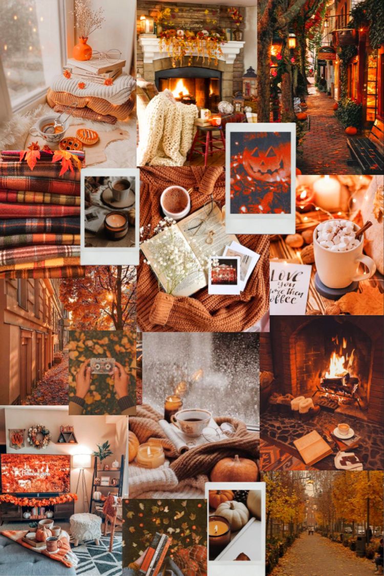 25 Autumn Collage Aesthetic Wallpapers : Autumn Orange Mood
