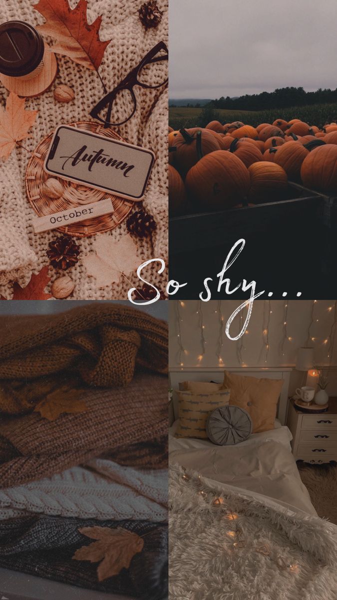 25 Autumn Collage Aesthetic Wallpapers : Mood So Shy