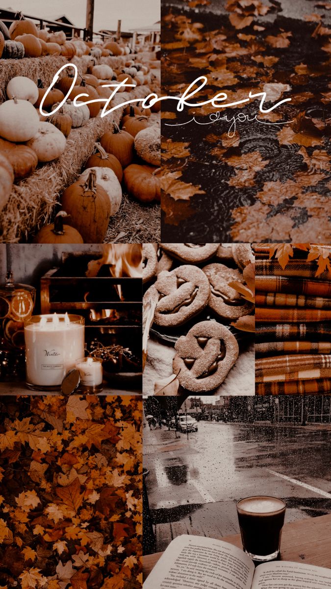 25 Autumn Collage Aesthetic Wallpapers : Love Autumn
