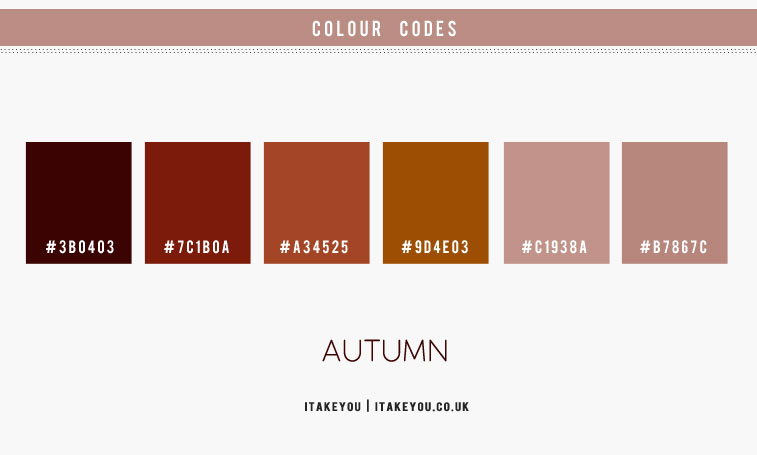dusty mauve colour, dusty mauve and rust color combo, autumn color ideas, dusty pink and berry, berry and rust color scheme