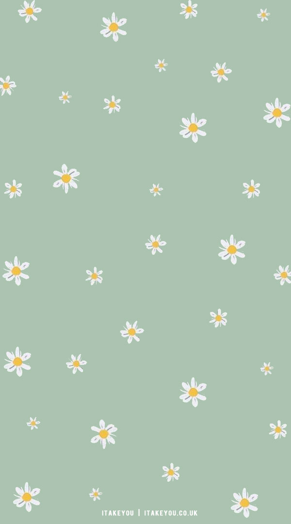 33 Cute Spring Wallpaper Ideas : Daisy Mint Green Wallpaper I Take You ...