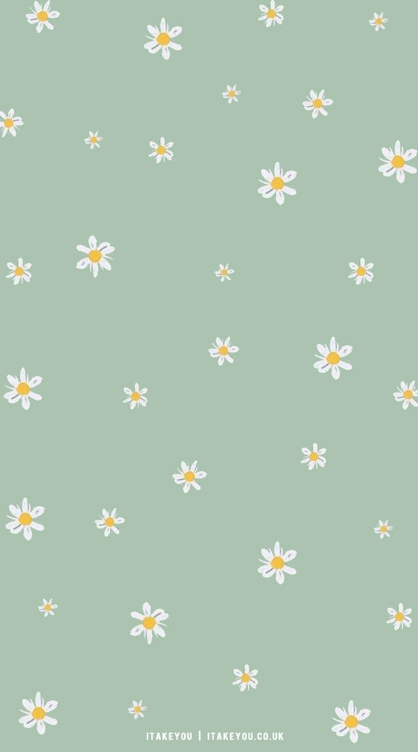 Daisy Field wallpaper by Unicorn11223344  Download on ZEDGE  6ab3