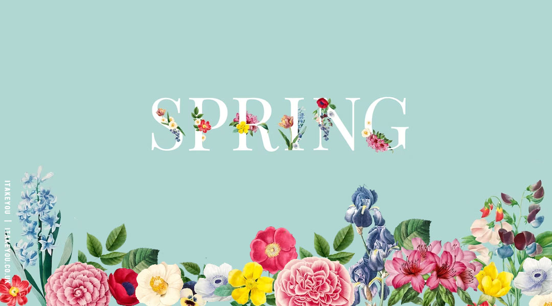 Spring aesthetic HD wallpapers  Pxfuel
