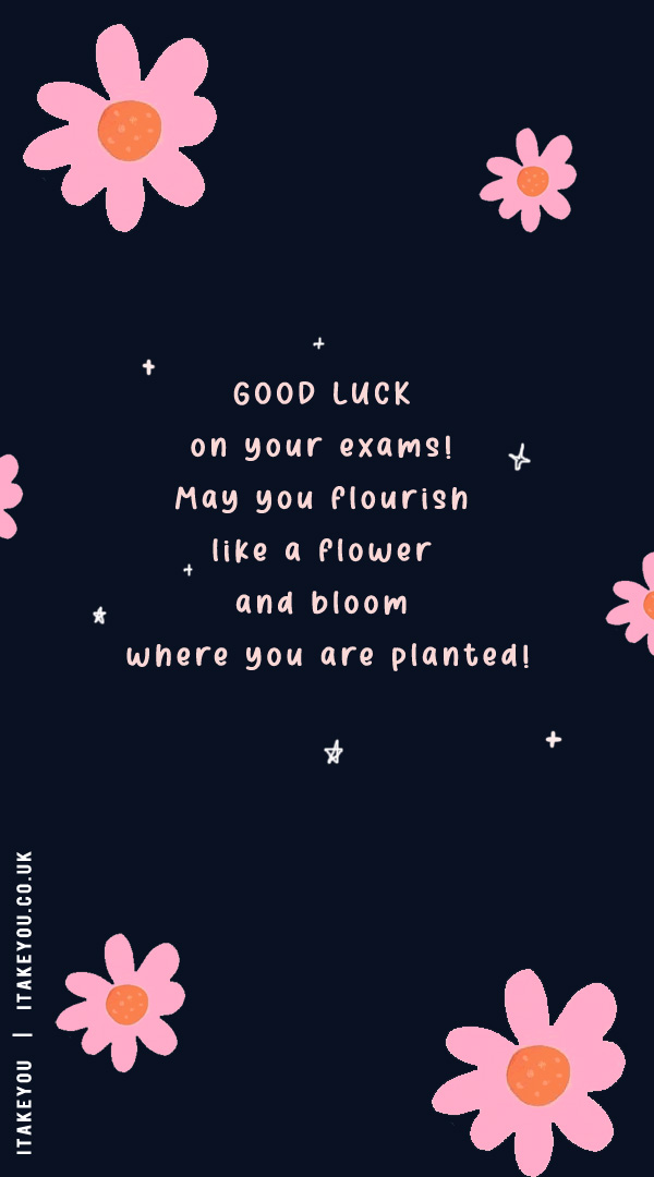 good luck on your GCSE you got this, good luck exam wishes, good luck exam wishes for students, gcse exam wishes, good luck exam wishes, best wishes quotes, exam wishes for friends, final exam wishes, best exam wishes, all the best for exam wishes, exam wishes wallpaper for iphone, exam wishes for phone, Good luck on your exams! May you flourish like a flower and bloom where you are planted!