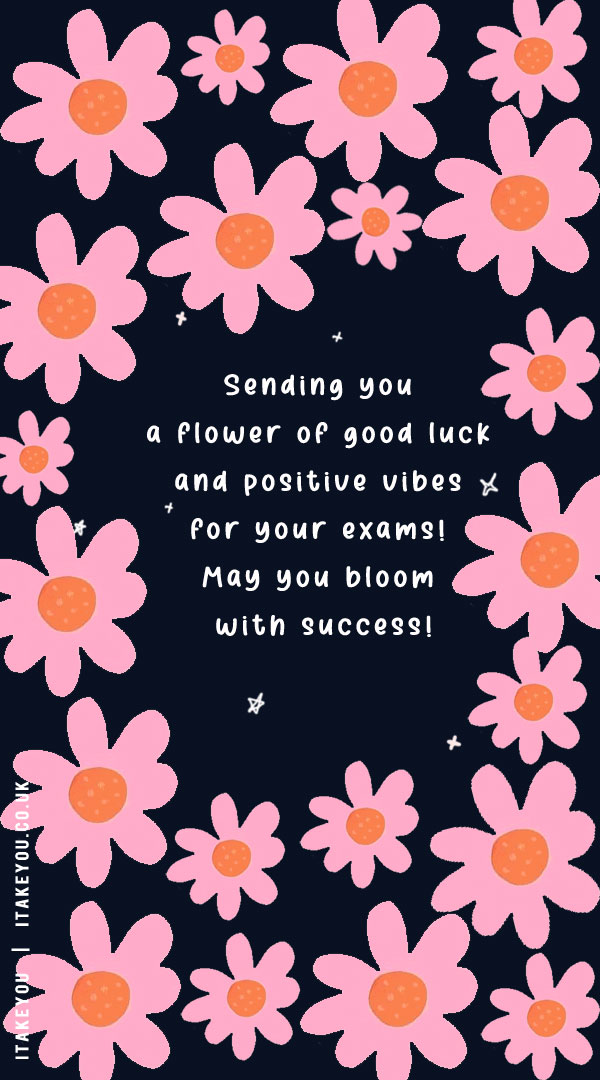 35 Good Luck Exam Wishes For GCSE & Students : Positive Vibes