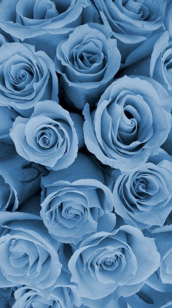 Blue flowers | Blue flower wallpaper, Blue rose tattoos, Blue roses  wallpaper