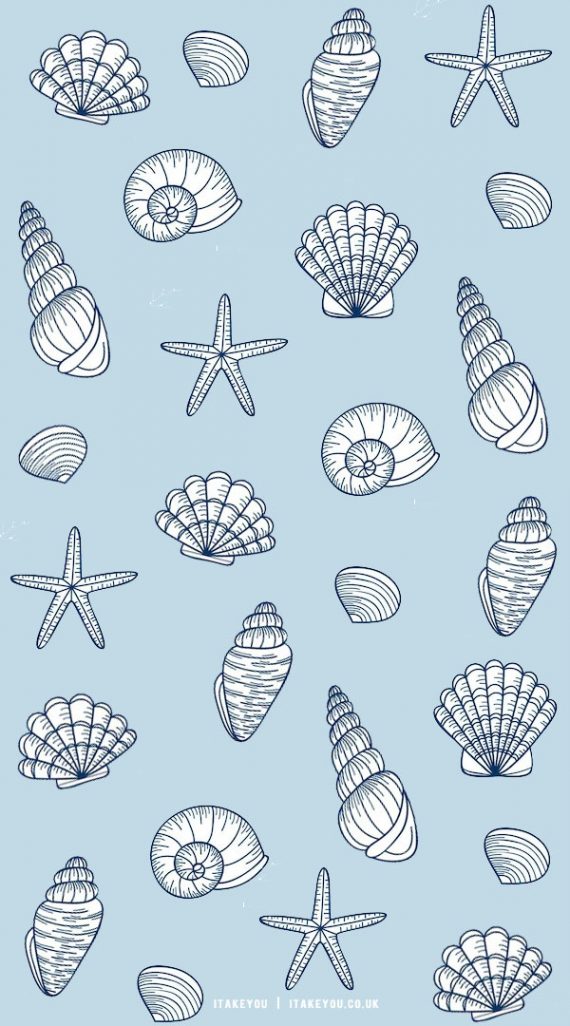 20 Shades of Serenity Blue Wallpaper Ideas : Seashell Blue Background I ...