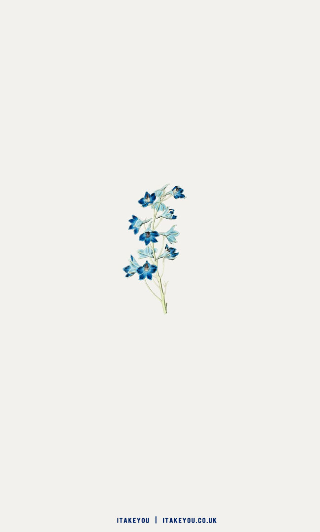 20 Shades of Serenity Blue Wallpaper Ideas : Blue Floral Wallpaper for Phone