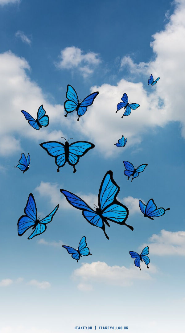 20 Shades of Serenity Blue Wallpaper Ideas : Blue Butterflies & Sky Blue