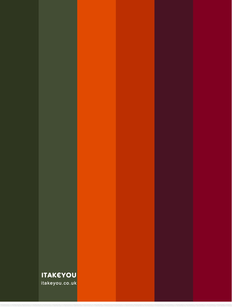 Burnt Orange Olive Green Burgundy and Plum Color Combo, Autumn Colour Scheme, Autumn Colour Trends 2023, Fall Color Palette, autumn colors, Autumn Colours 2023, soft autumn colour palette