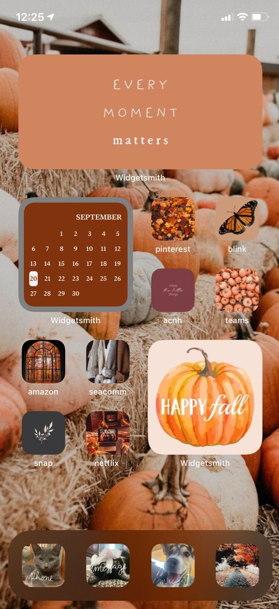 Aesthetic Fall IOS Home Screen Ideas : Pumpkin + Brown & Purple