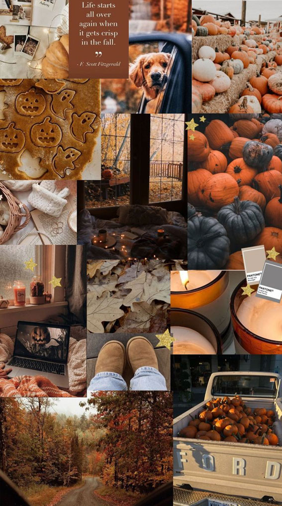 40 Best Fall Collage Ideas  Cozy Sweater  Crisp Air  Idea Wallpapers   iPhone WallpapersColor Schemes