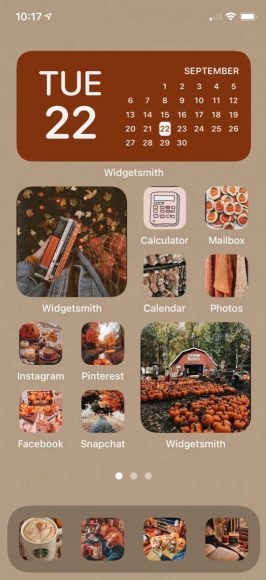 Aesthetic Fall IOS Home Screen Ideas : Soft Brown Grey Background Fall ...