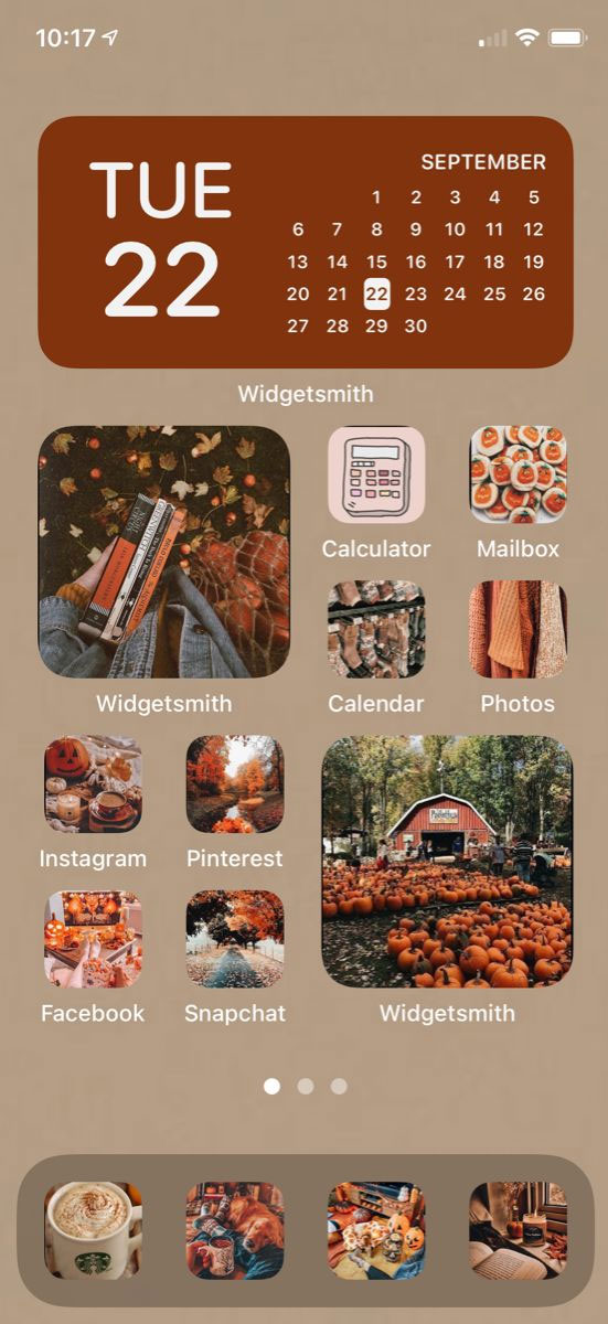 Aesthetic Fall IOS Home Screen Ideas : Soft Brown Grey Background Fall Home Screen