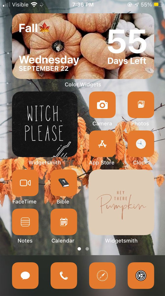Aesthetic Fall IOS Home Screen Ideas : Autumn Grey Day