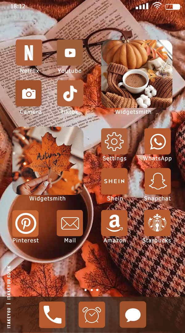 Aesthetic Fall IOS Home Screen Ideas : Pumpkin Spice & Sweater