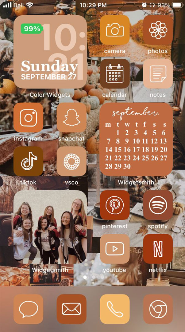 Aesthetic Fall IOS Home Screen Ideas : Collage Wallpaper