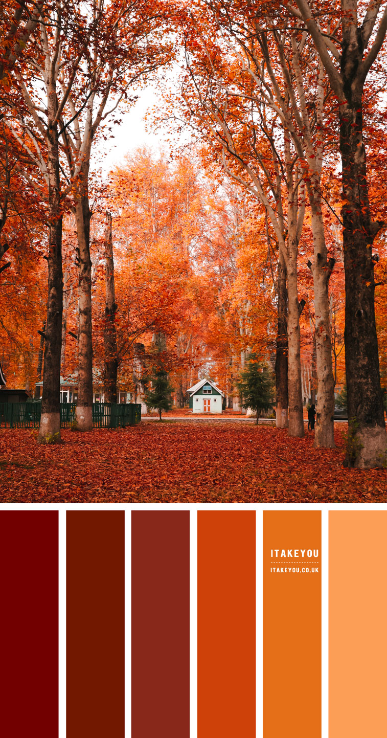 Autumn home color, fall home color palette, fall color scheme
